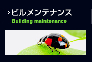 ビルメンテナンス