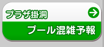 �v���U�|���@�v�[�����G�\��