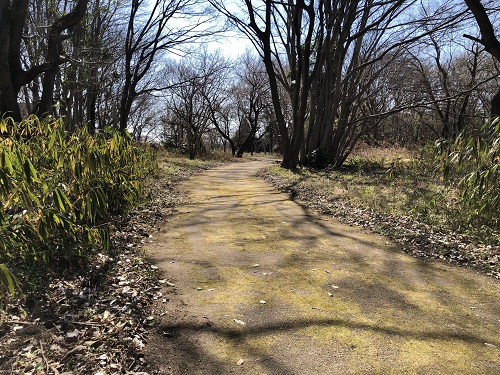 遊歩道1.JPG