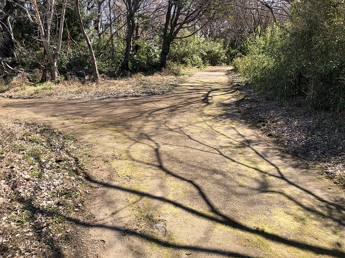 遊歩道2.JPG