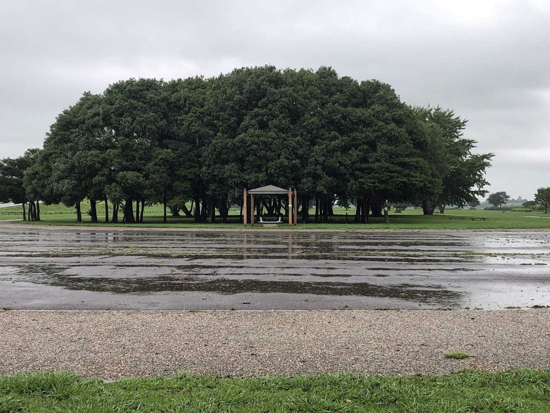 平田リバーサイドプラザ大雨による冠水後の復旧作業をしました！