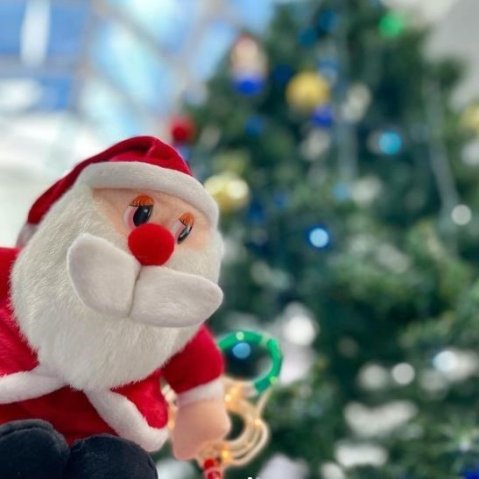 プラザ掛洞のクリスマス | プラザ掛洞