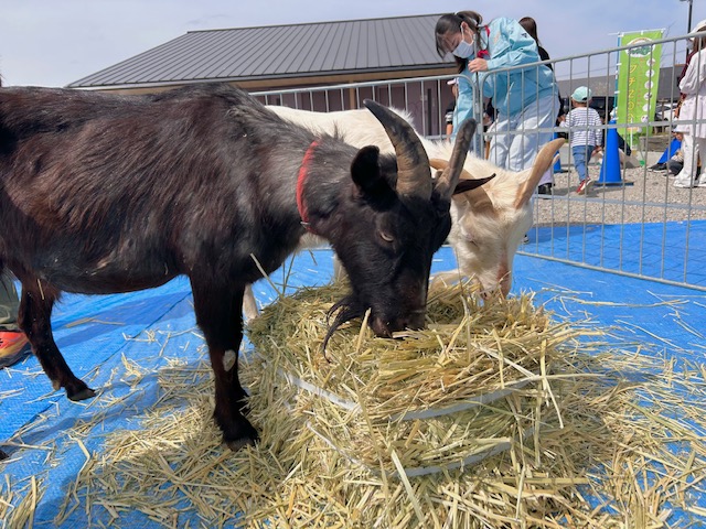 平田リバーサイドプラザふれあいフェスタ2023開催のお知らせ | 平田公園