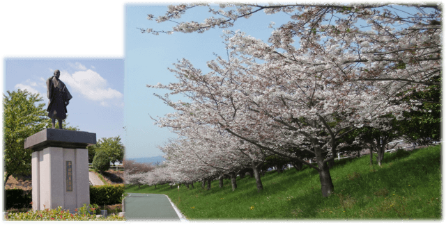 🌸平田靱負ロード・桜フェスタ2023🌸開催のお知らせ✨ | 平田公園