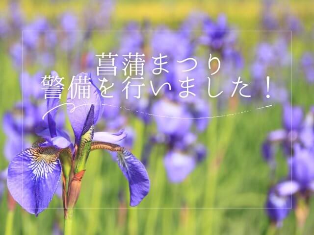 菖蒲まつりの警備を行いました！ | セキュリティ
