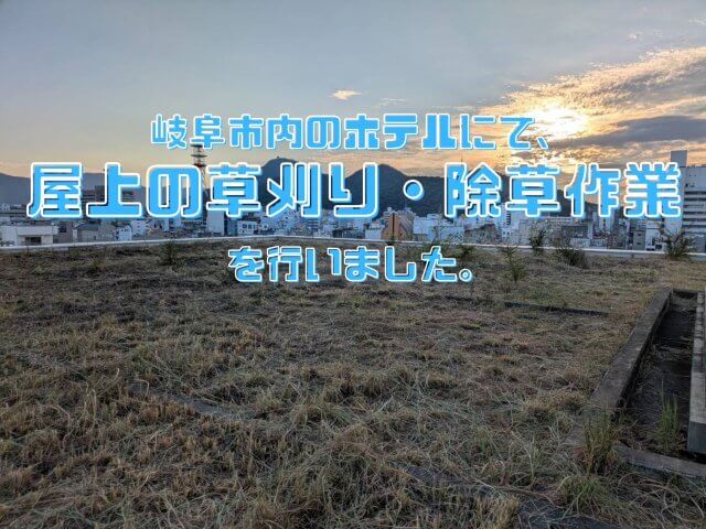 岐阜市内のホテルにて、屋上の草刈り・除草作業を行いました!! | ビルメンテナンス